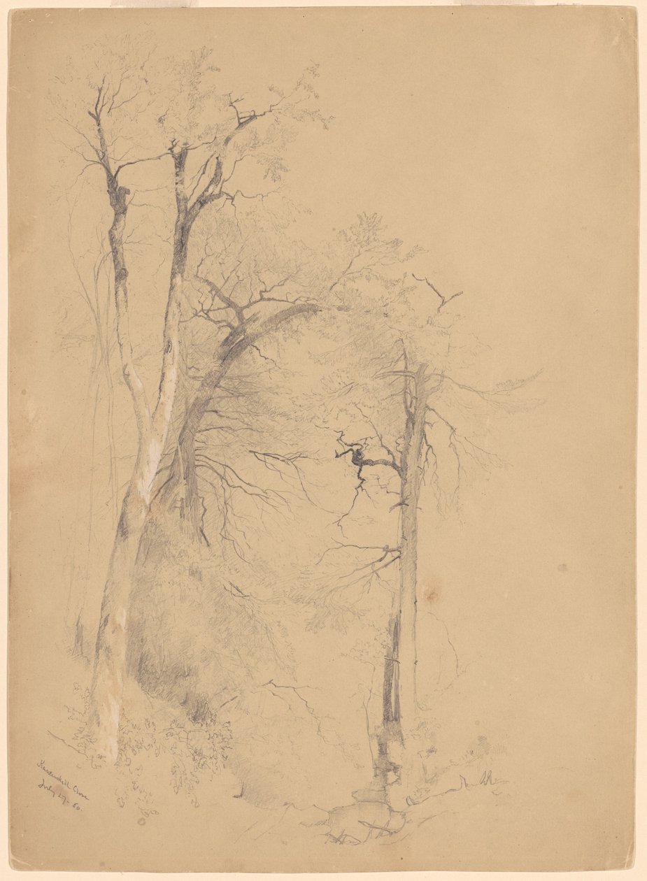 考特斯基尔丁香 作者 杰维斯·麦肯特（Jervis McEntee）