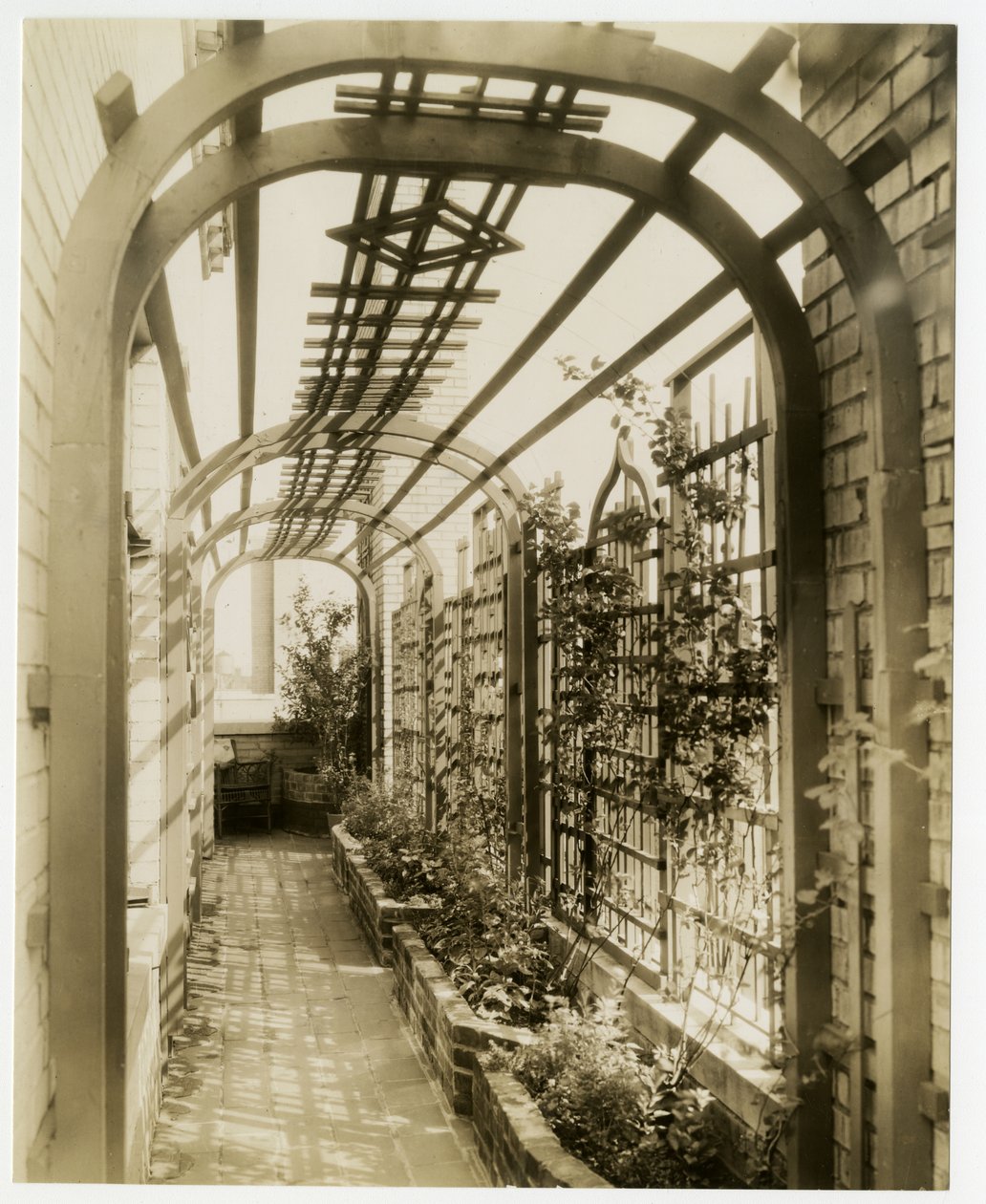 Regina Jais夫人的后花园，约1936-37年（明胶银照片）。 作者 杰西·塔伯·比尔斯（Jessie Tarbox Beals）