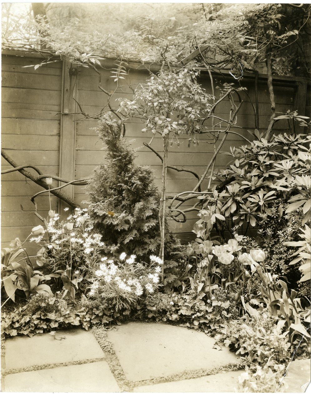 约翰-摩根夫妇，美国纽约格林威治村W11街39号，约1939-40年（明胶银照片 作者 杰西·塔伯·比尔斯（Jessie Tarbox Beals）