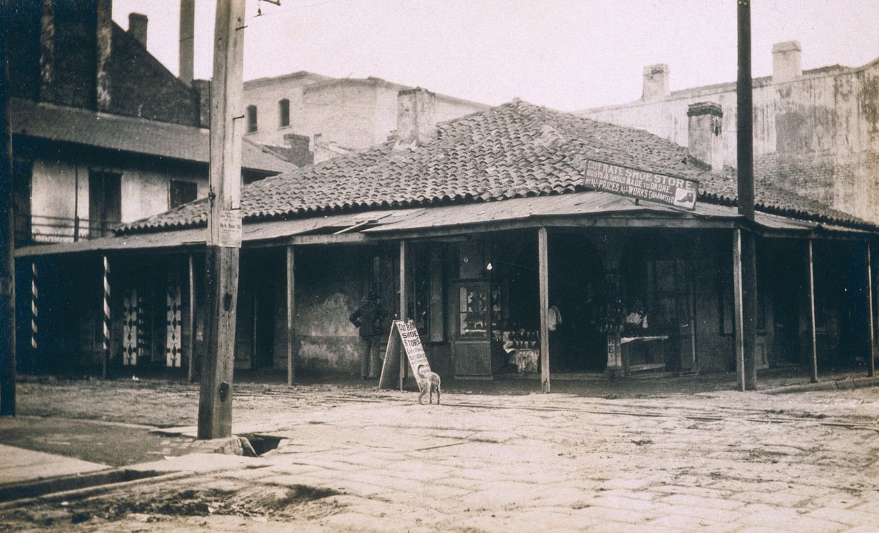 新奥尔良，c.1905 作者 杰西·塔伯·比尔斯（Jessie Tarbox Beals）