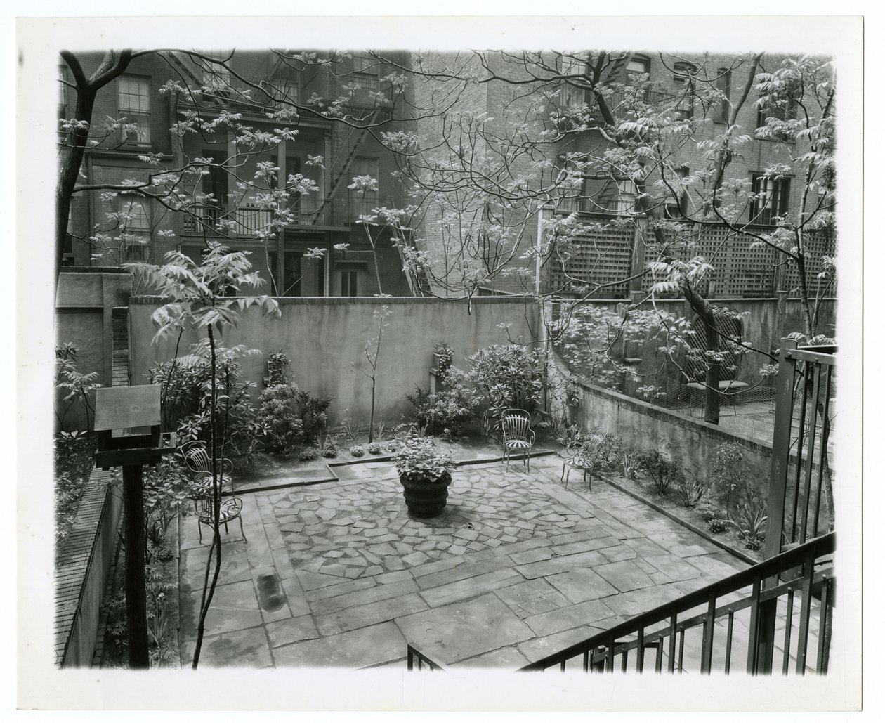 有鸟屋的后天井，美国纽约，约1905-40（明胶银照片 作者 杰西·塔伯·比尔斯（Jessie Tarbox Beals）
