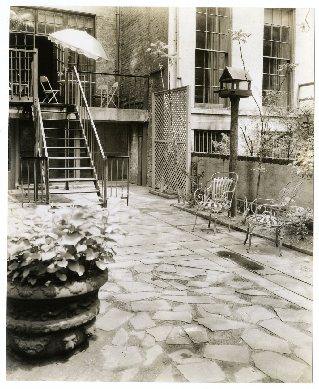 带鸟屋的后院露台，美国纽约，约 1905-40 年（明胶银照片） 作者 杰西·塔伯·比尔斯（Jessie Tarbox Beals）