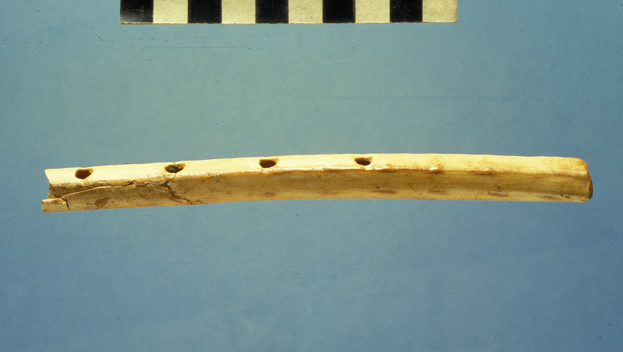 长笛，大卫市，公元前799  -  600年（骨） 作者 犹太学校