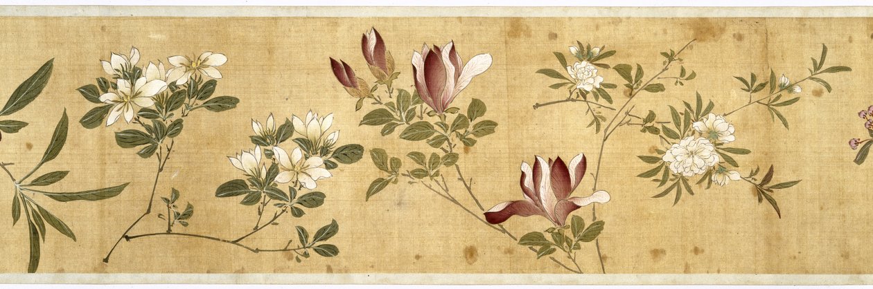 一百朵花，17世纪初（彩绘丝绸）（细节：另见207347-58） 作者 陈佳彦