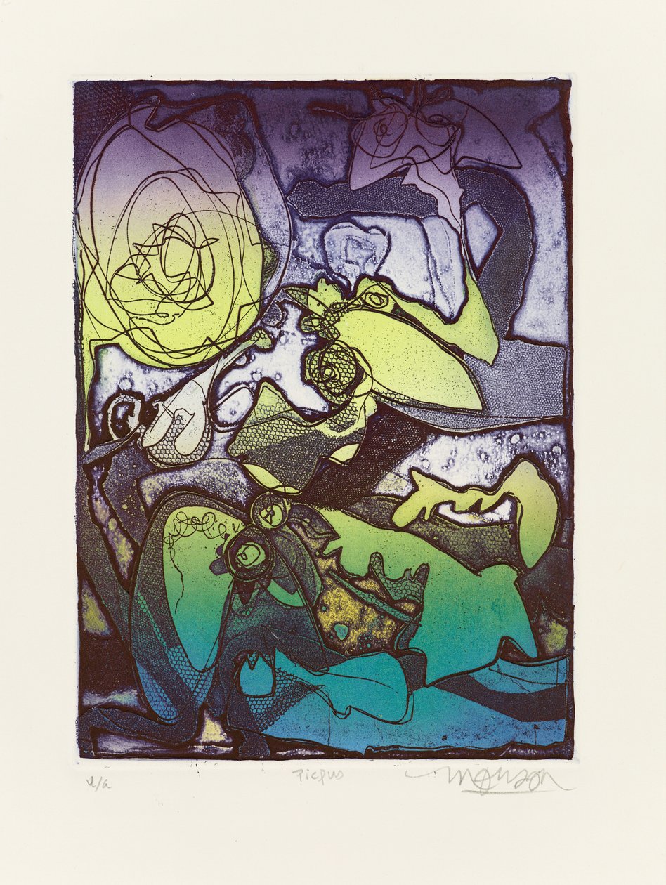 Picpus 作者 吉姆·蒙森