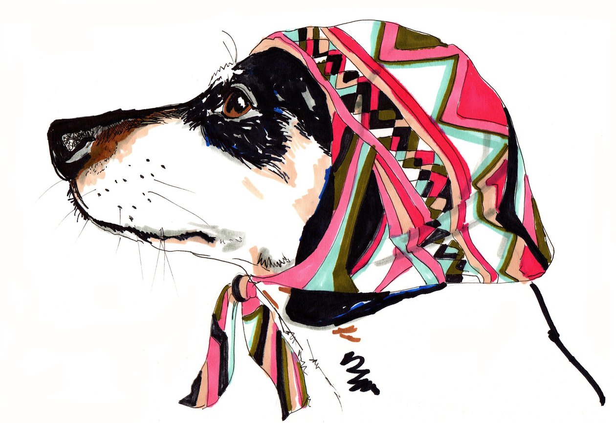 Pooch In Pucci，2012（纸笔墨水） 作者 乔·钱伯斯