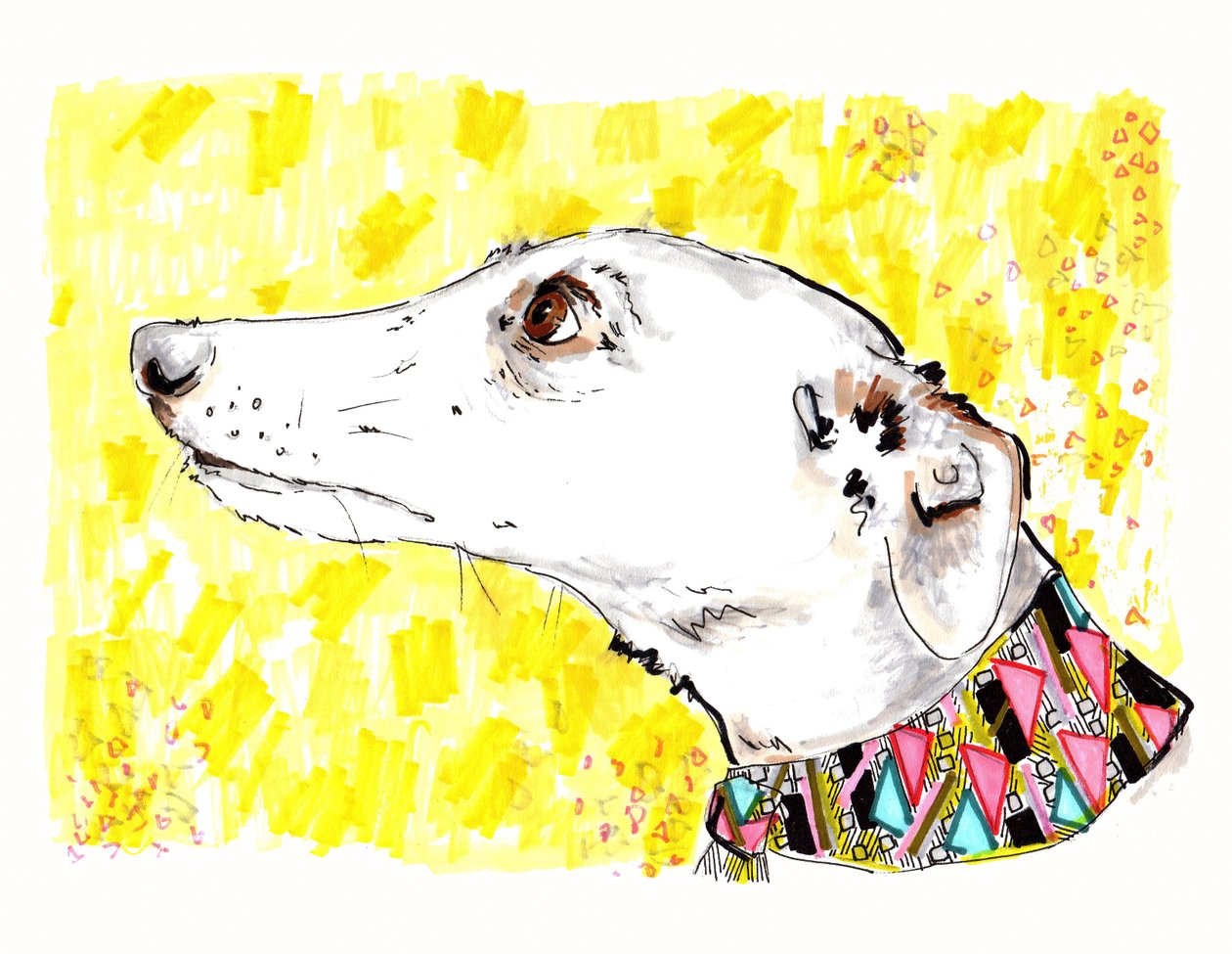 Silvertips The Greyhound，2012（笔和墨水在纸上） 作者 乔·钱伯斯