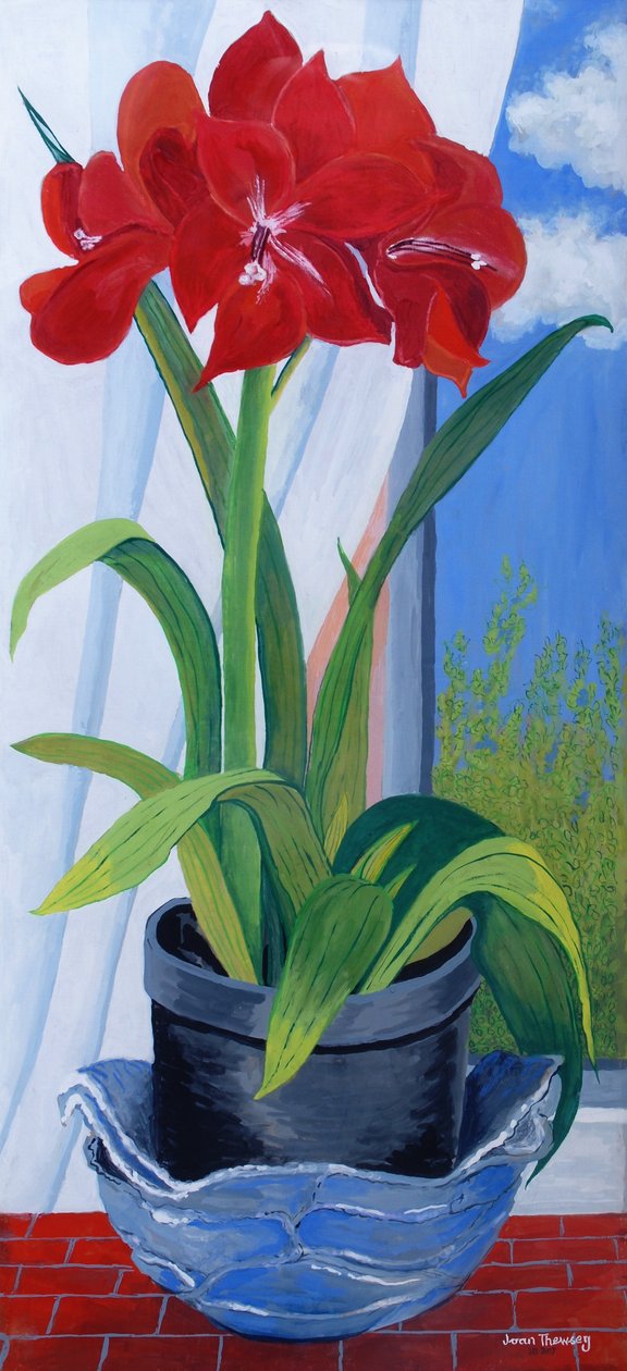 2011年蓝色碗孤挺花 作者 琼·瑟西