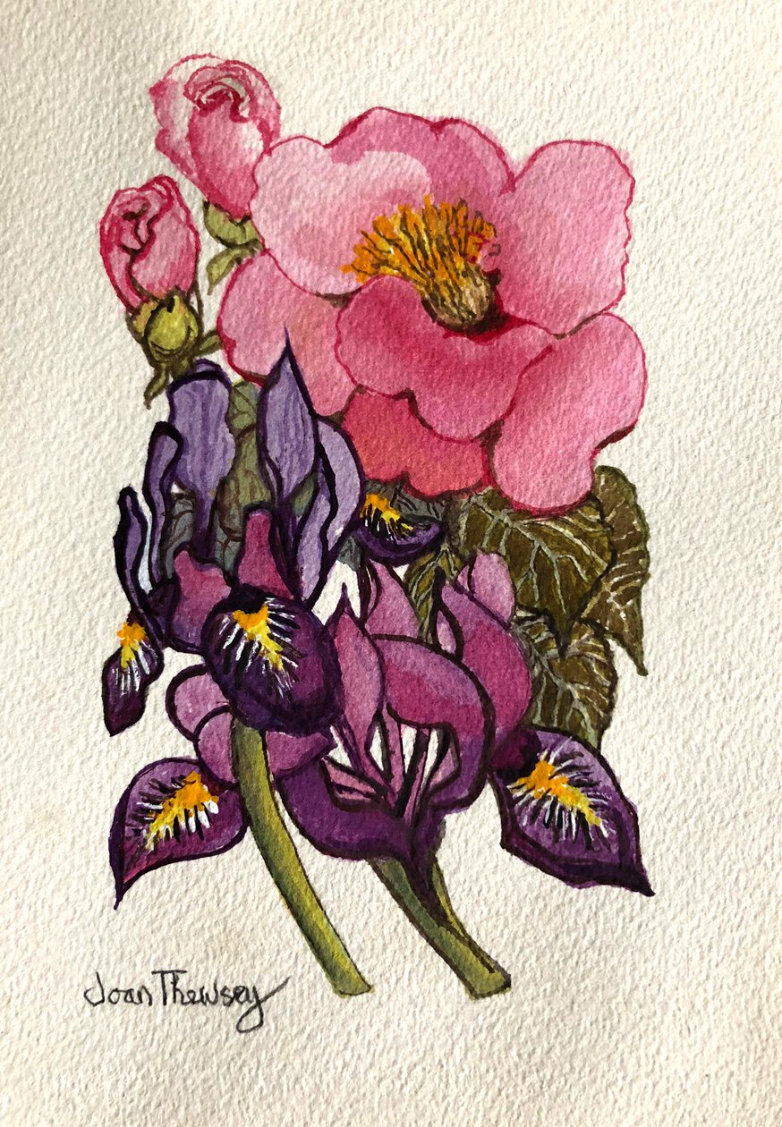 山茶花和荷兰鸢尾， 作者 琼·瑟西