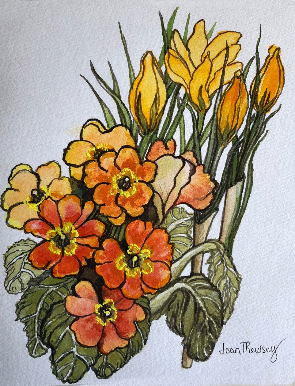 番红花和报春花， 作者 琼·瑟西