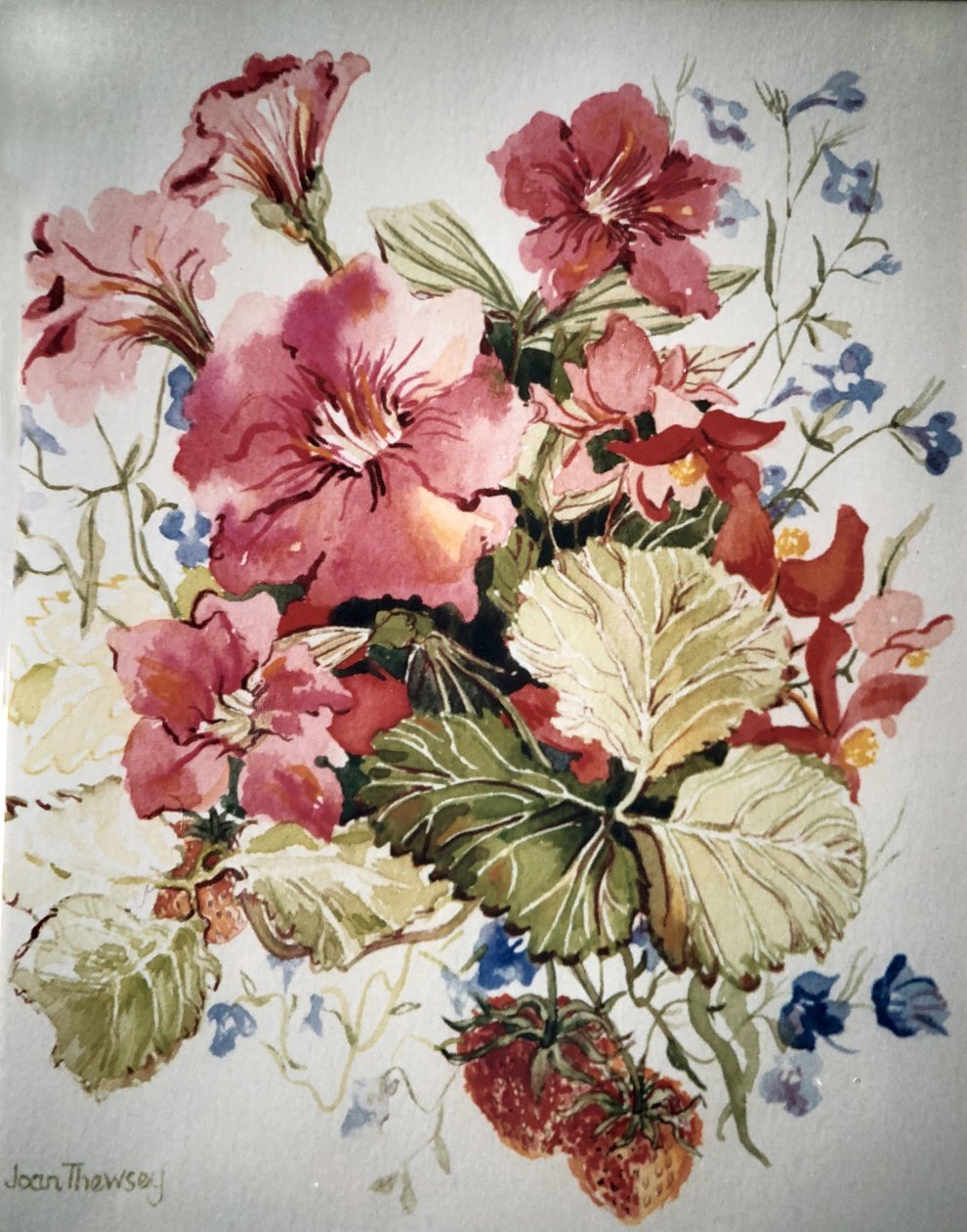 喇叭花盆中的矮牵牛，Lobelias，秋海棠和草莓， 作者 琼·瑟西
