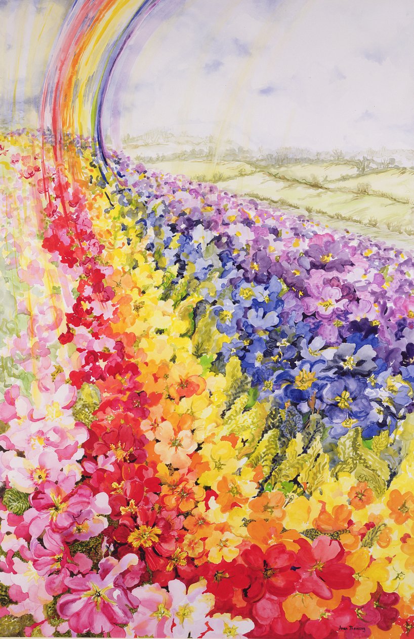 报春花彩虹 作者 琼·瑟西