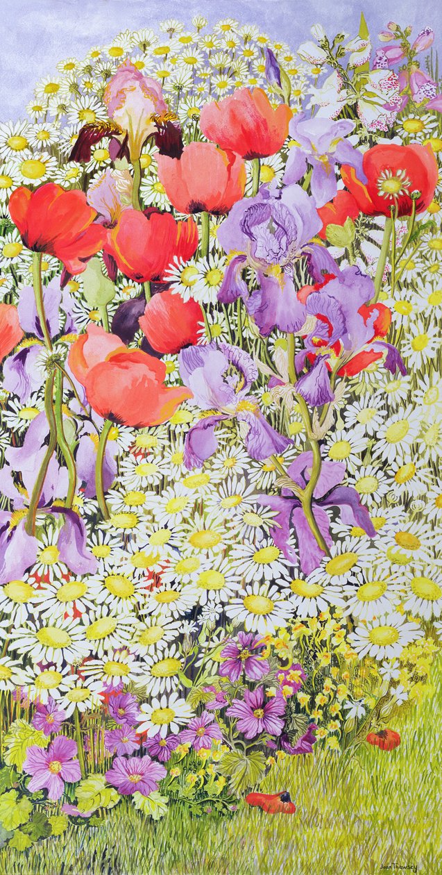 野生花卉保护;花园边界 作者 琼·瑟西