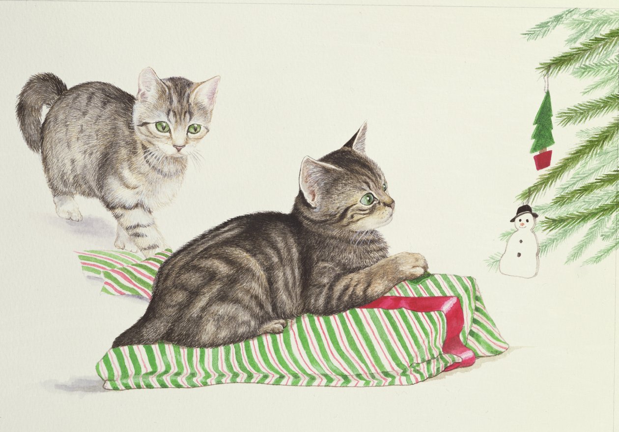 两只小猫 作者 琼·弗里斯通