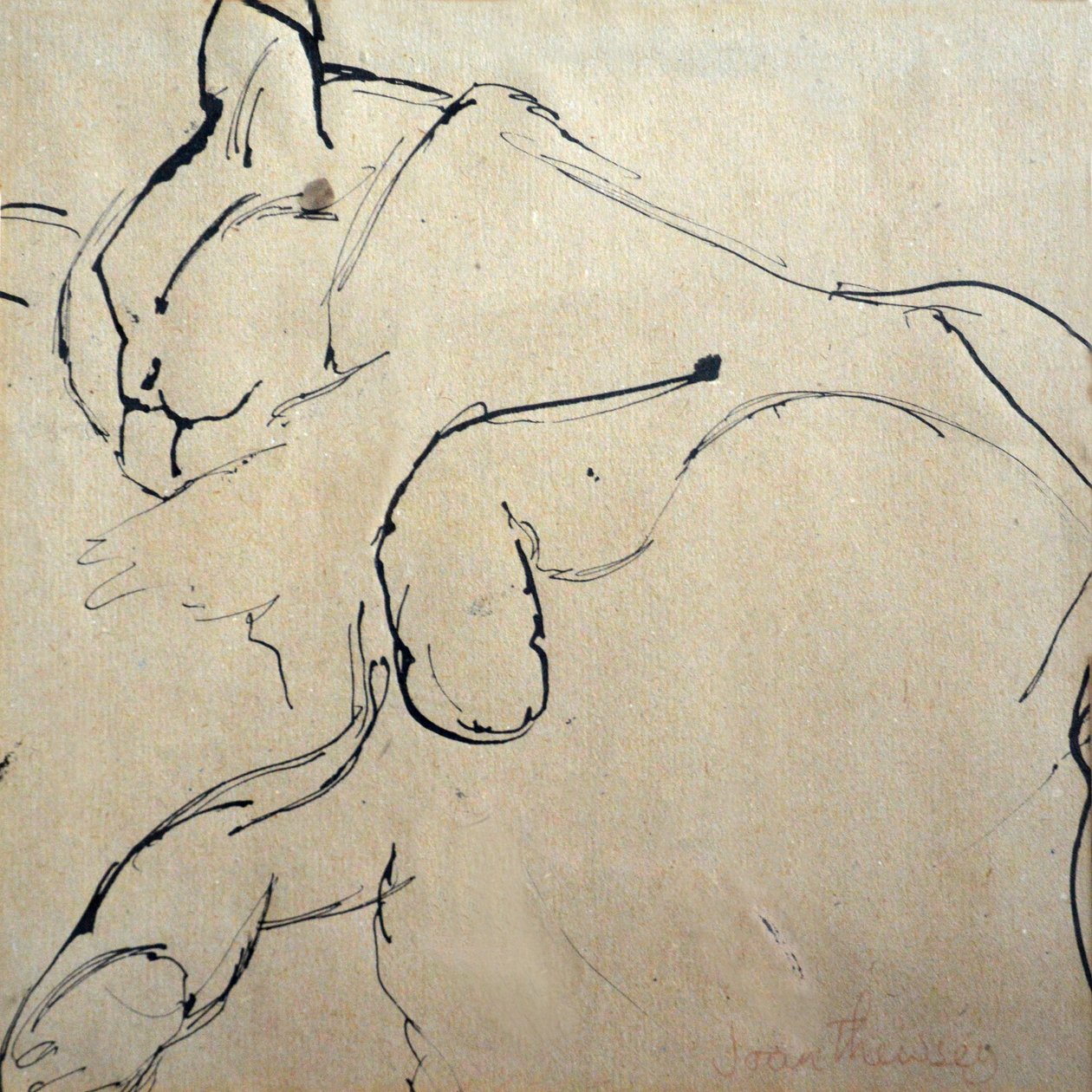 Cat，Mouser，1980，（钢笔和墨水） 作者 琼·瑟西