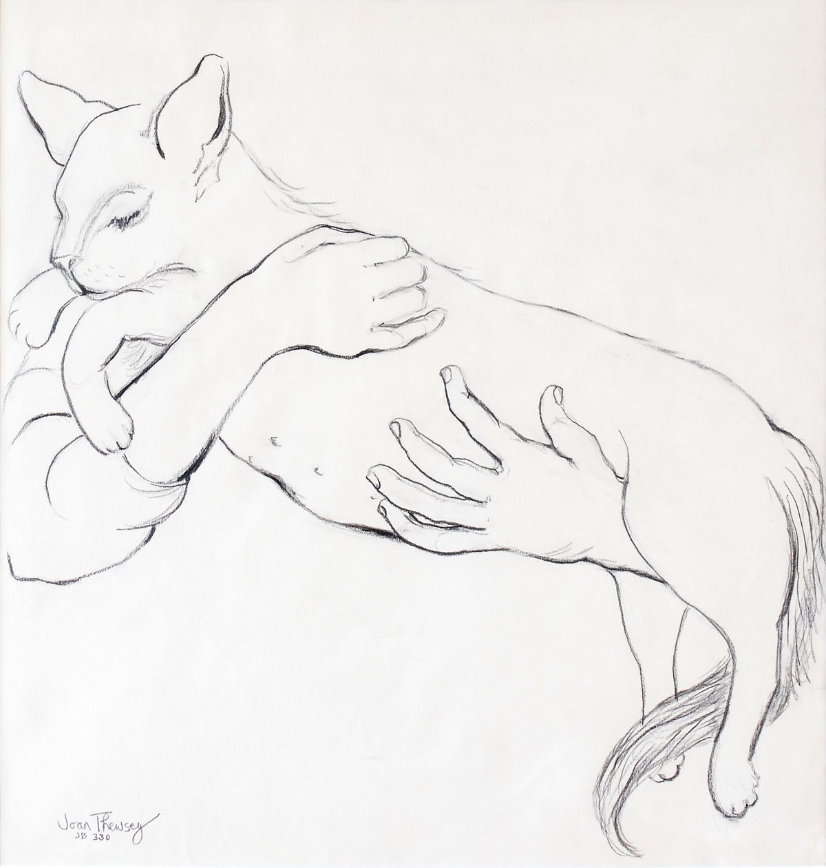 可爱的猫，2000，（铅笔） 作者 琼·瑟西