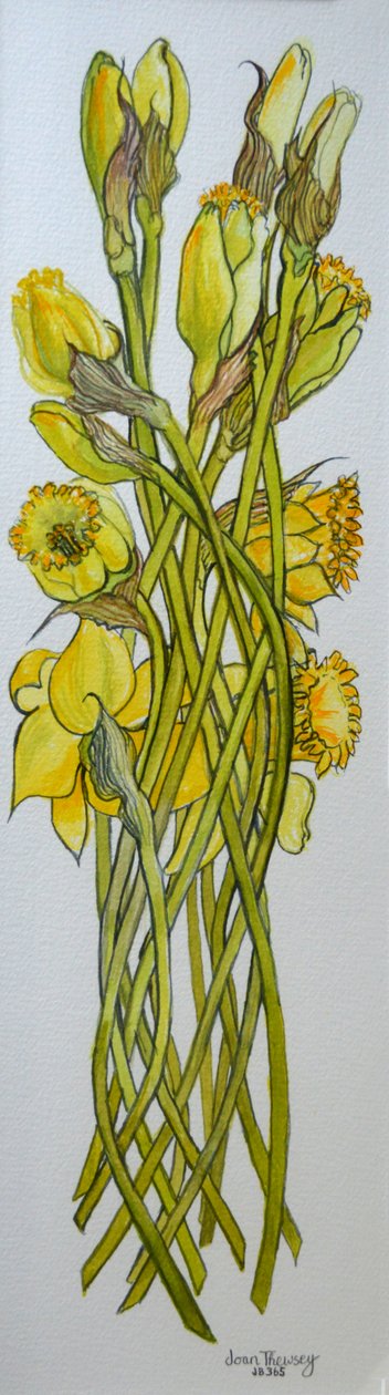 水仙花，2008， 作者 琼·瑟西