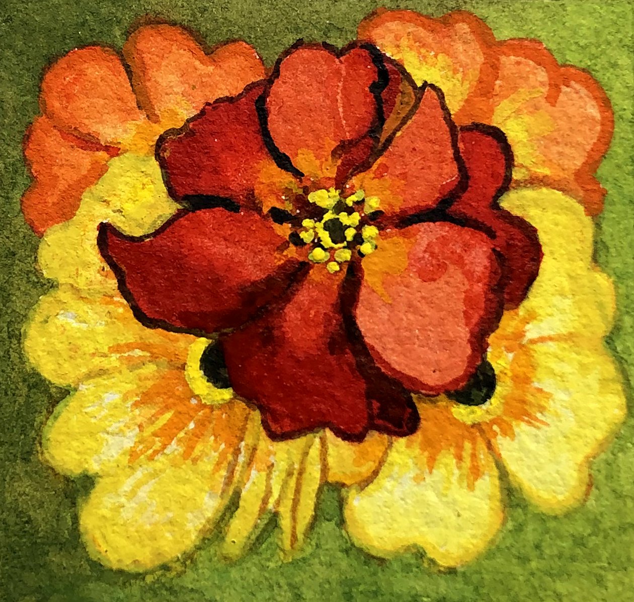 Five Primroses, red, yellow and orange (watercolour) 作者 琼·瑟西