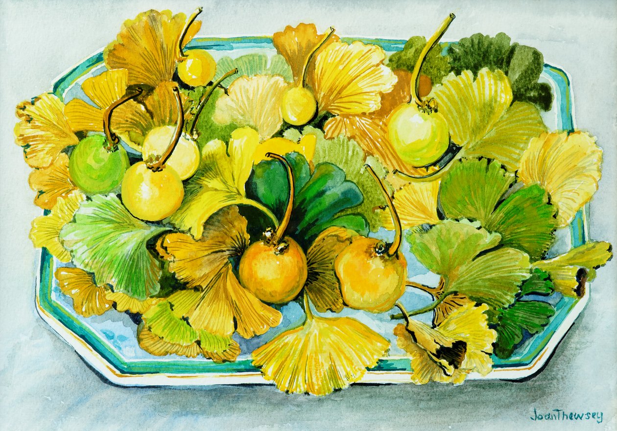 银杏，水果和叶子，2010年，水彩 作者 琼·瑟西