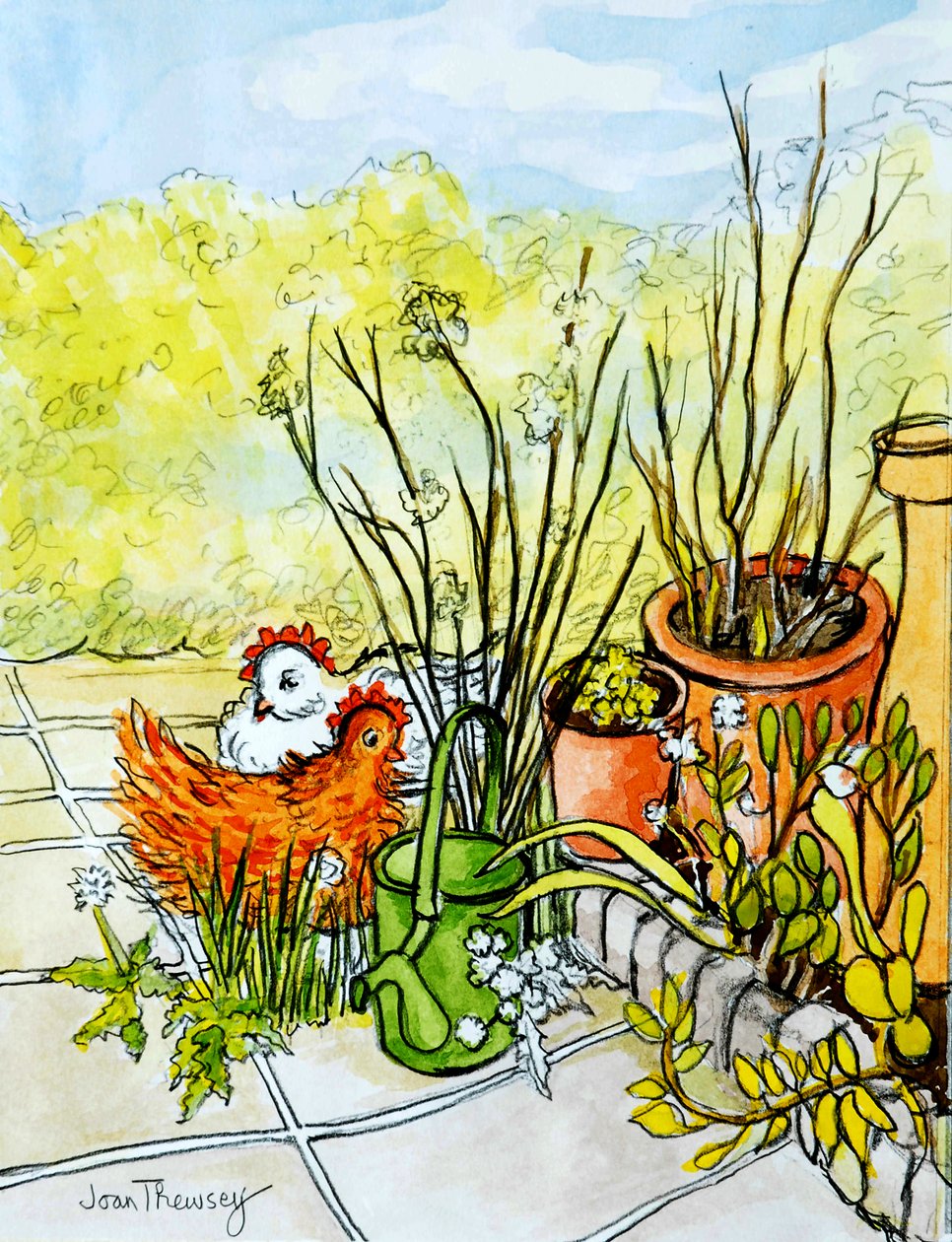母鸡和花盆，露西雷德曼开放式花园，2000，（铅笔水彩洗） 作者 琼·瑟西