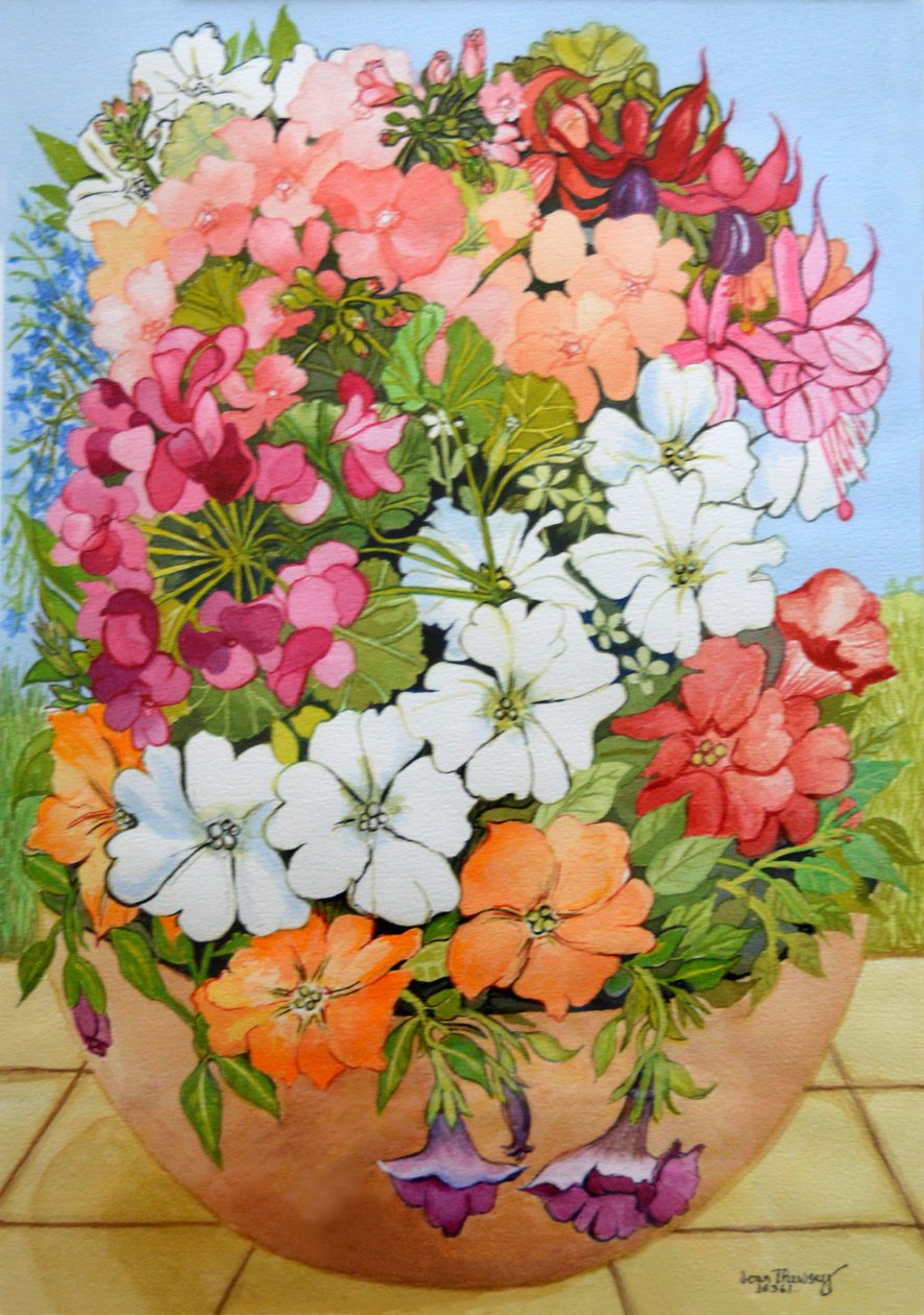 2005年，露台罐中的矮牵牛，天竺葵和紫红色， 作者 琼·瑟西