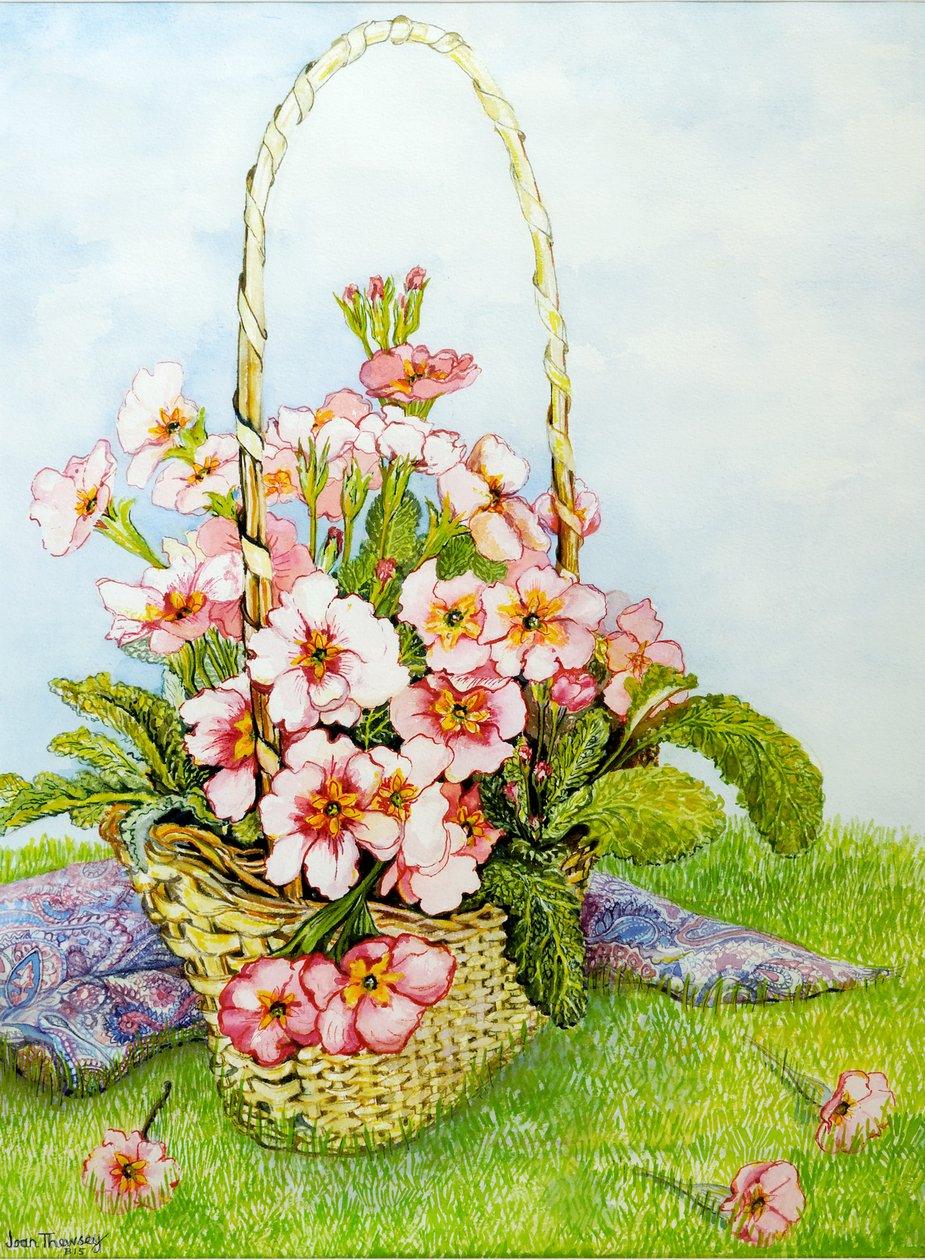 在花店篮子的桃红色报春花与佩兹利围巾，2010年，水彩 作者 琼·瑟西