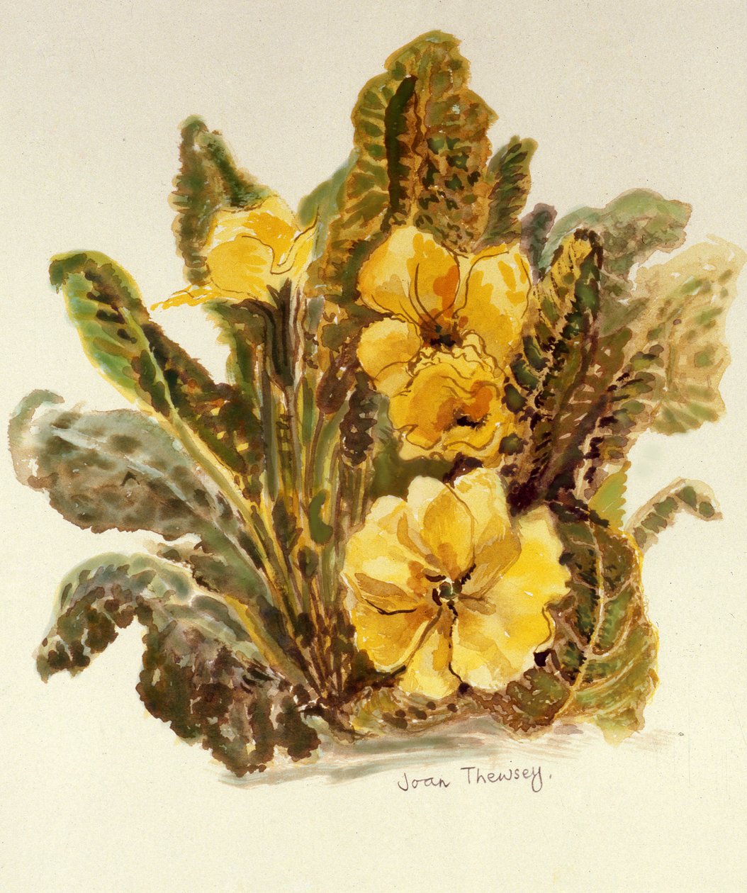 报春花，2010年，手工纸上的水彩画， 作者 琼·瑟西