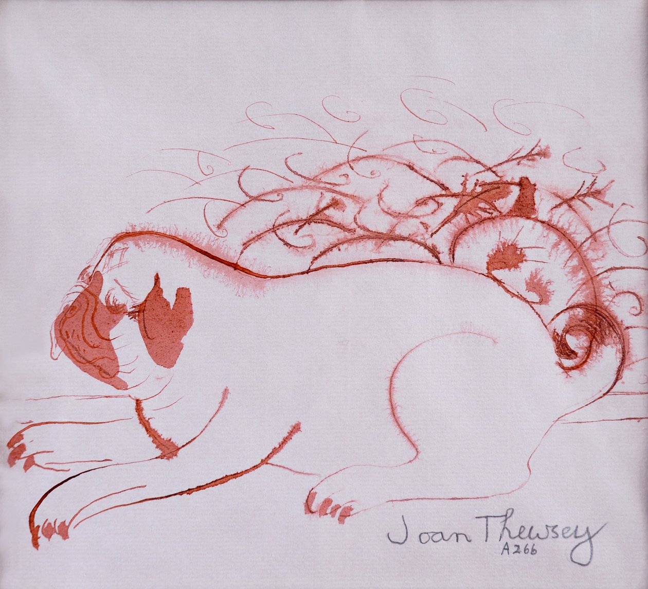 帕格小狗2,2005，（湿纸上的墨水） 作者 琼·瑟西