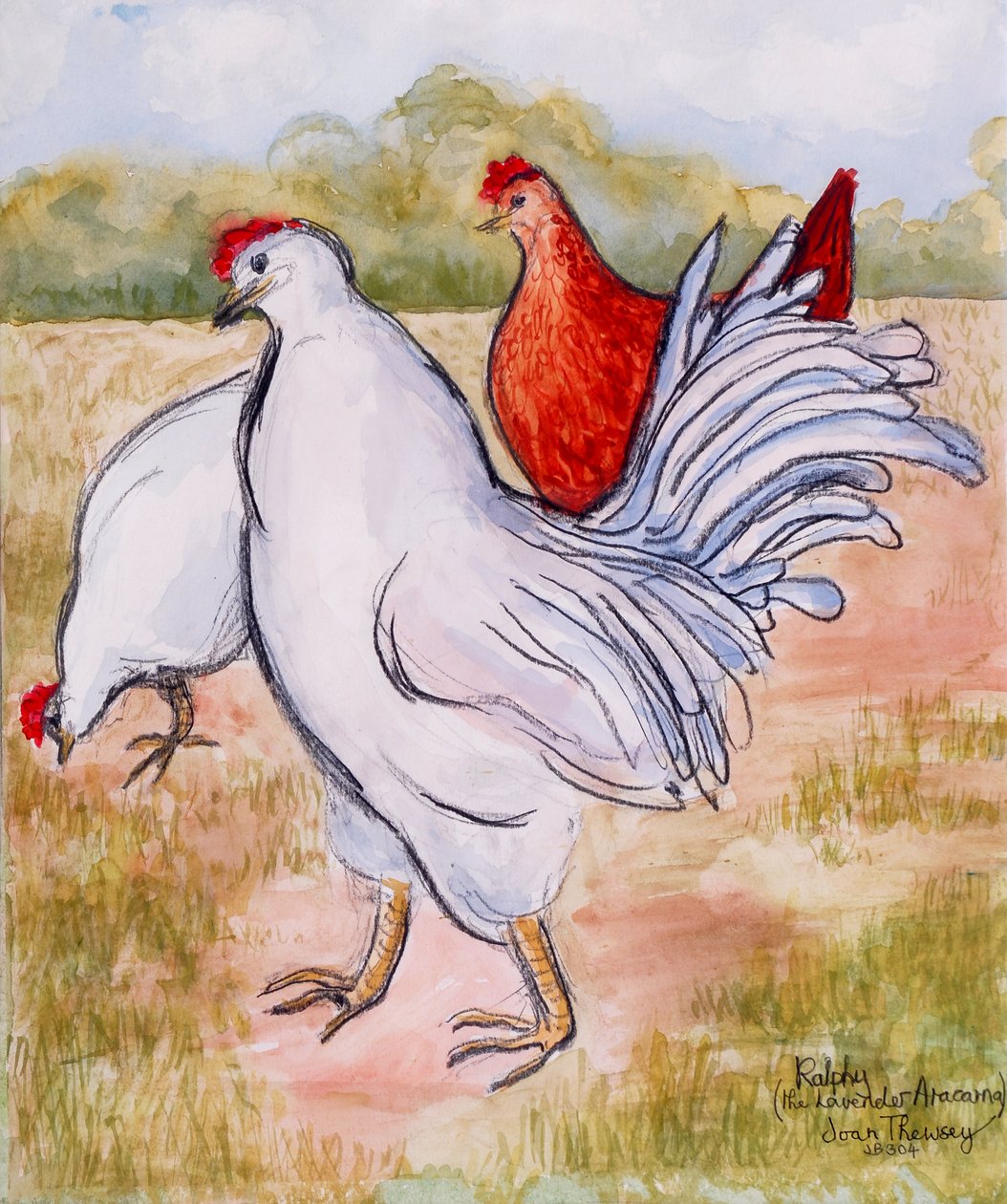 Ralphy，The Cockerel，2005，（铅笔和水的颜色） 作者 琼·瑟西