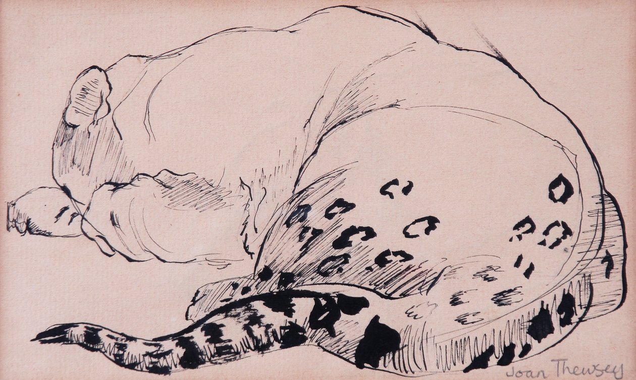素描，豹纹，伦敦动物园2005，（钢笔和墨水） 作者 琼·瑟西