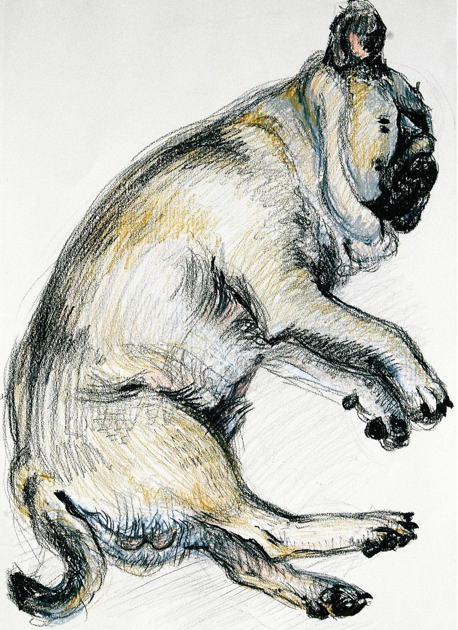 睡觉哈巴狗一，2000年，（油画棒） 作者 琼·瑟西