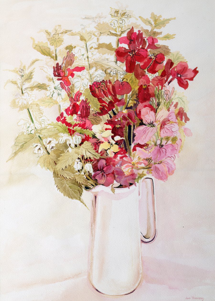 枯草和壁花的静物（纸上水彩画 作者 琼·瑟西