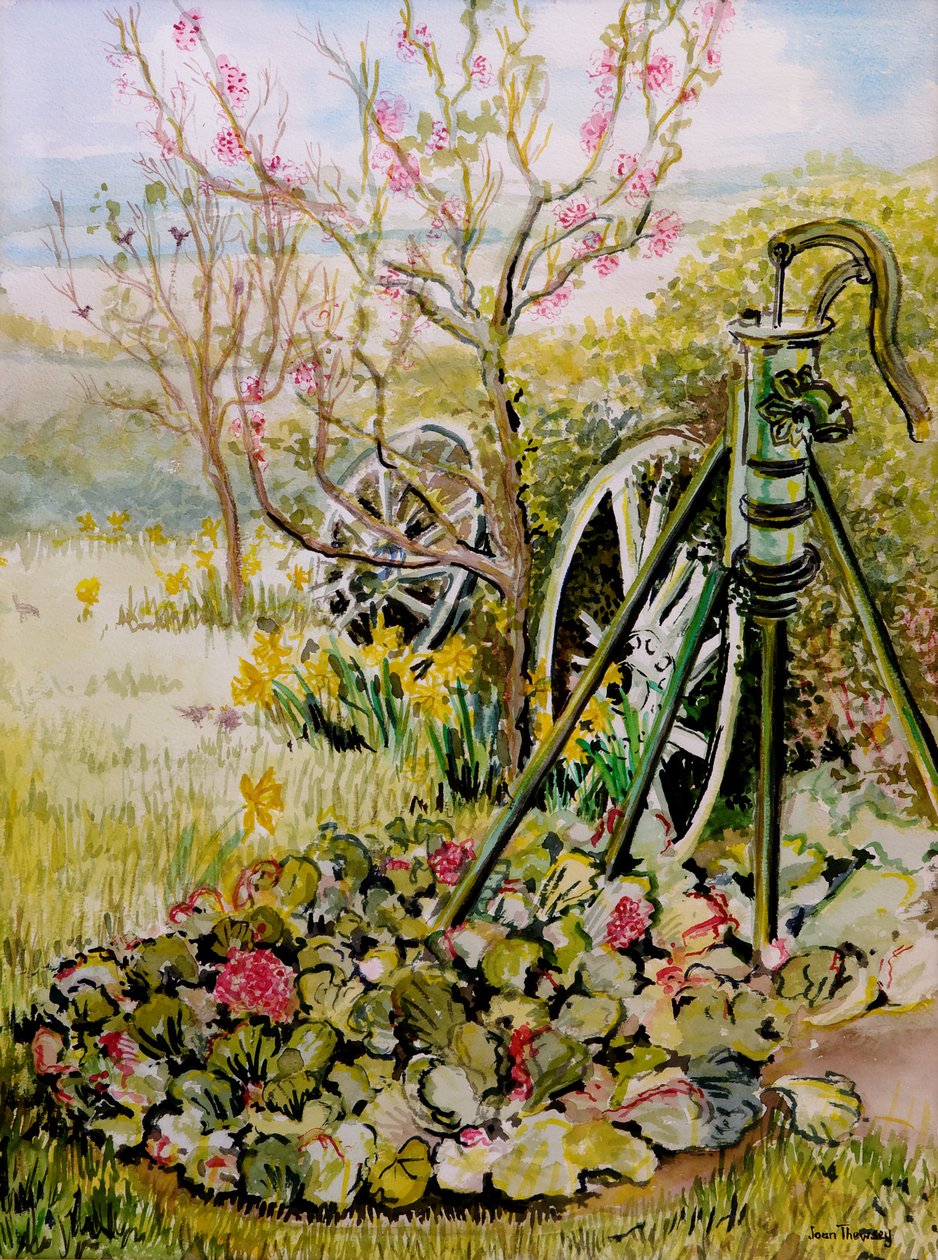 花园泵，2010年，水彩画 作者 琼·瑟西