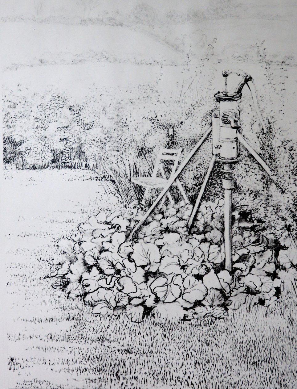 花园泵，1973年（木炭） 作者 琼·瑟西