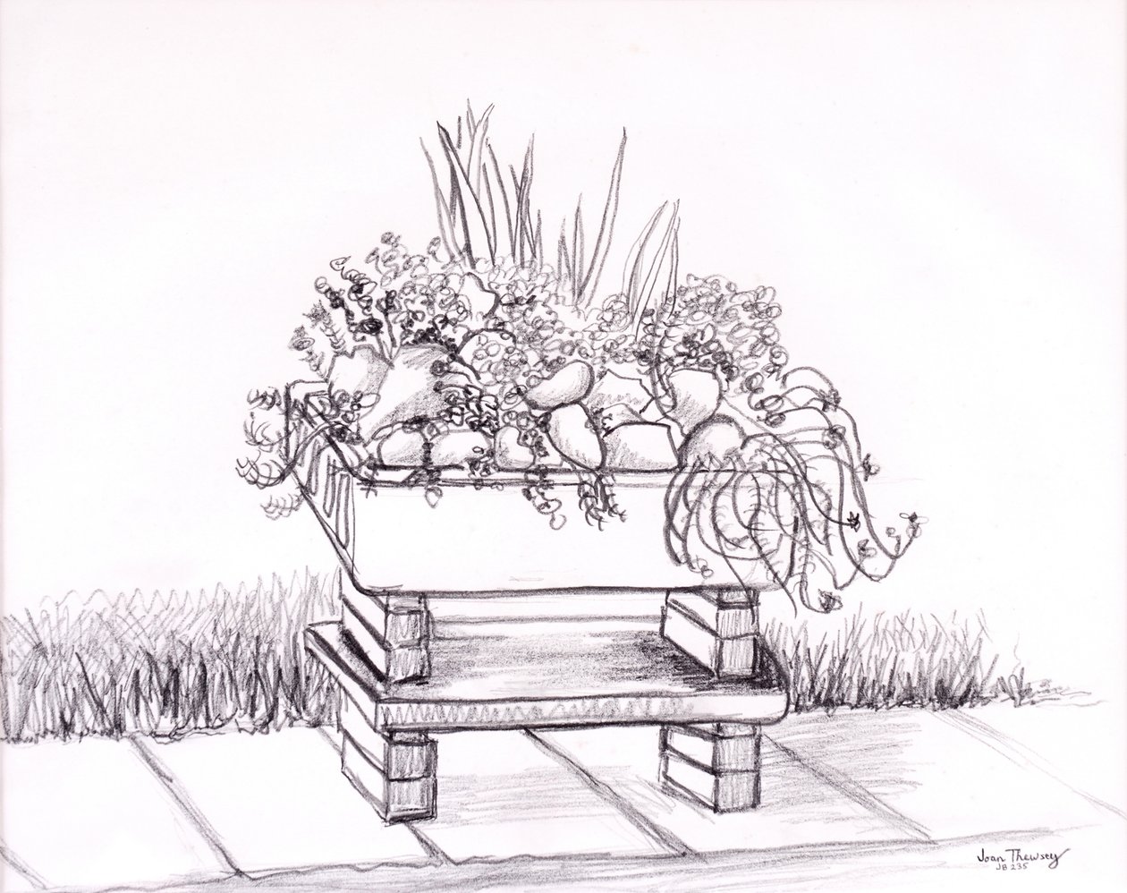 Sink Garden，2000，石墨 作者 琼·瑟西