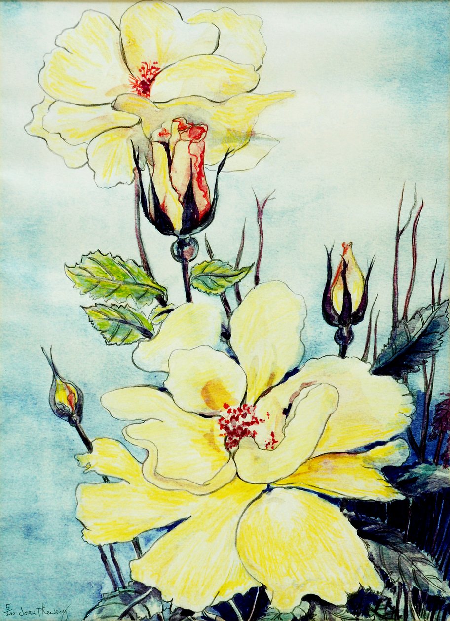 2005年萨福克微风中的黄玫瑰，（水彩） 作者 琼·瑟西