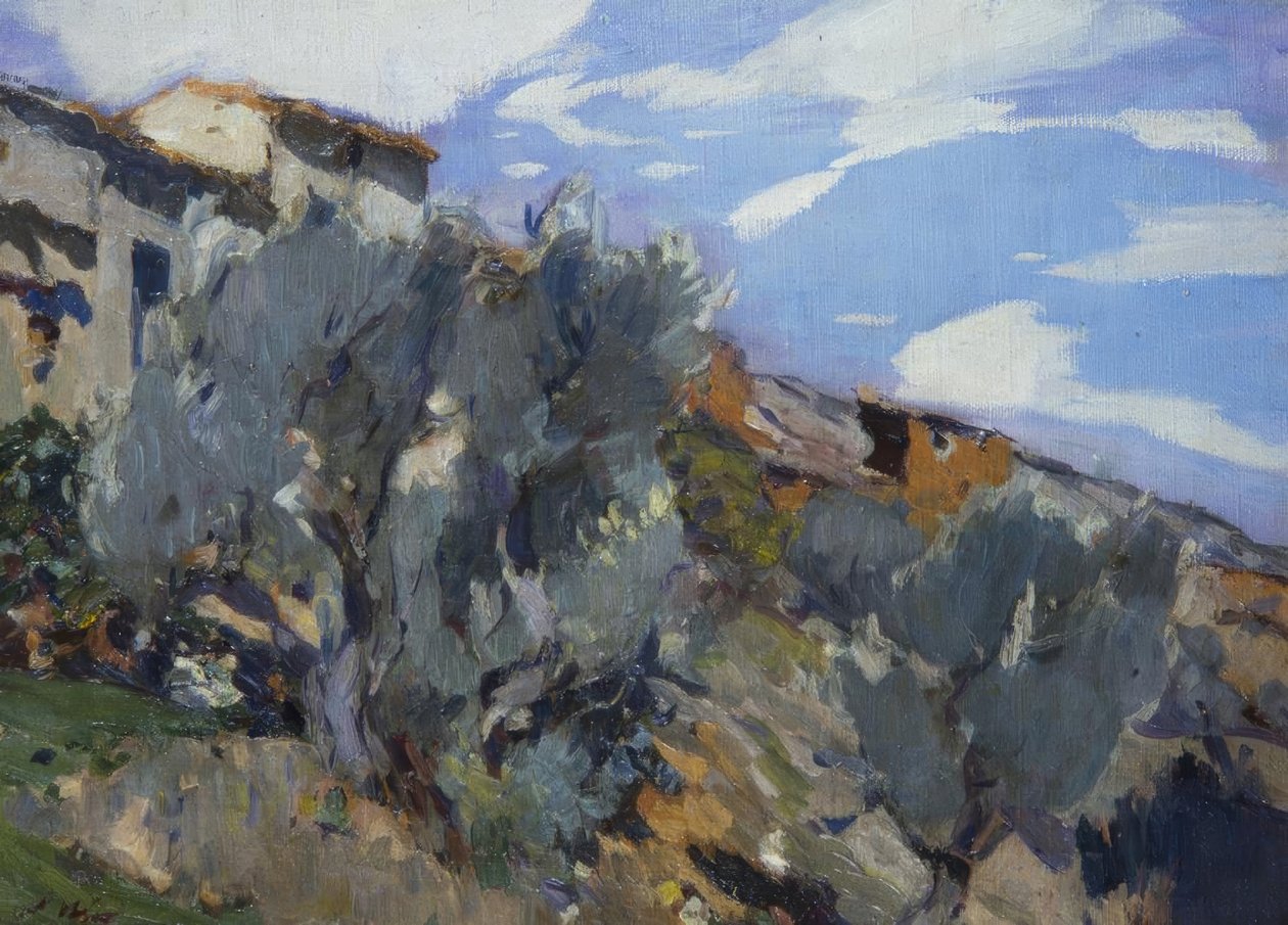 有森林的农舍 作者 Joaquim Mir i Trinxet