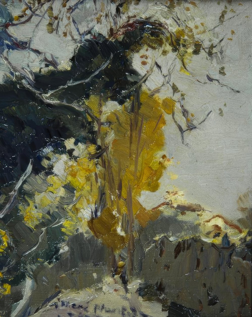 树木 作者 Joaquim Mir i Trinxet