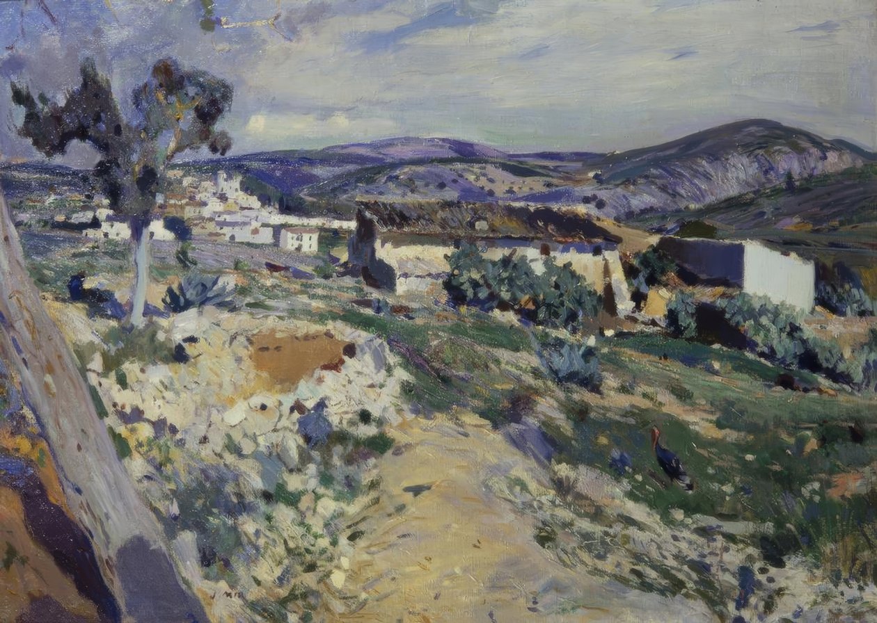峡谷的景色 作者 Joaquim Mir i Trinxet