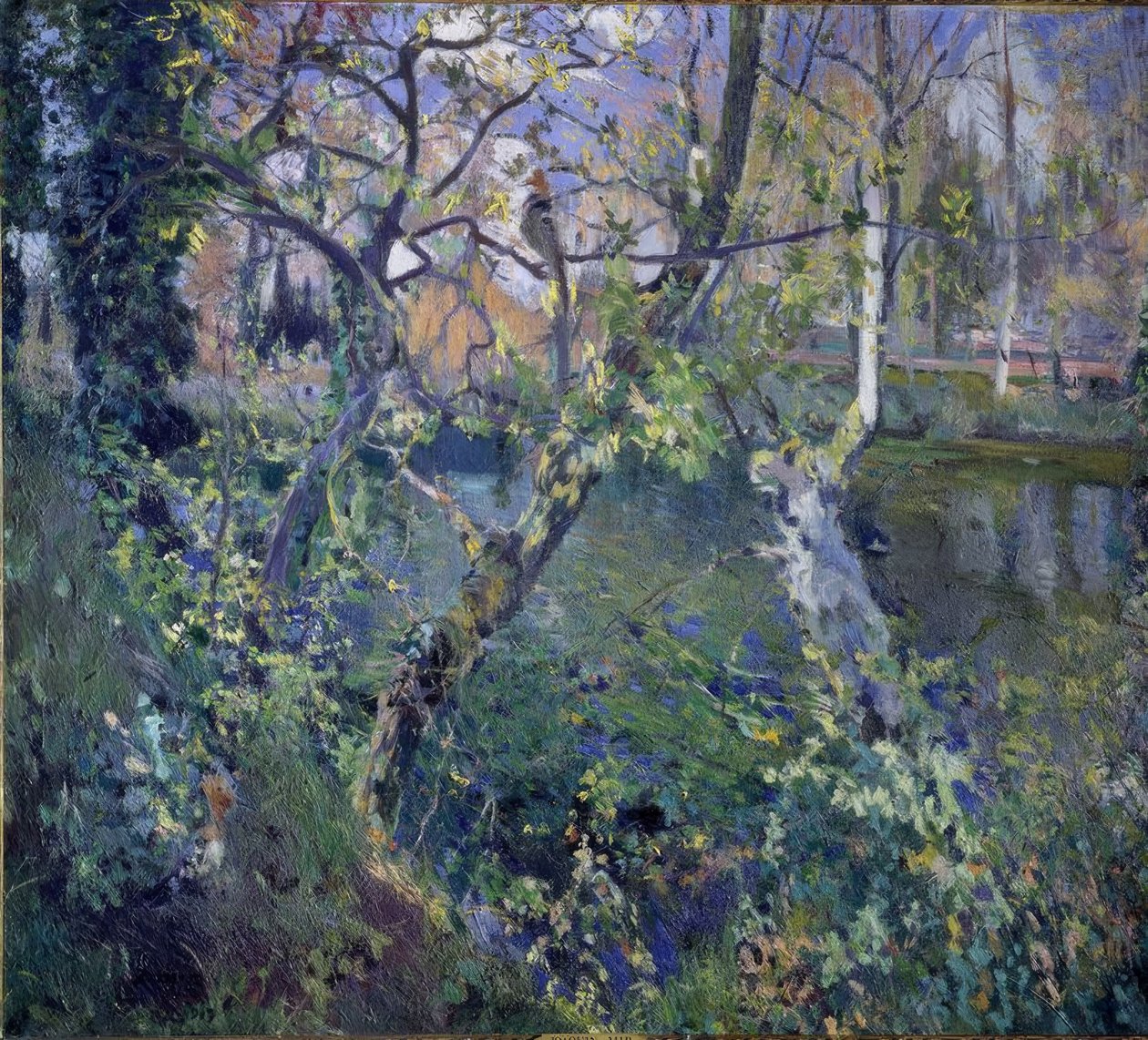 莫古达的雨 作者 Joaquim Mir i Trinxet