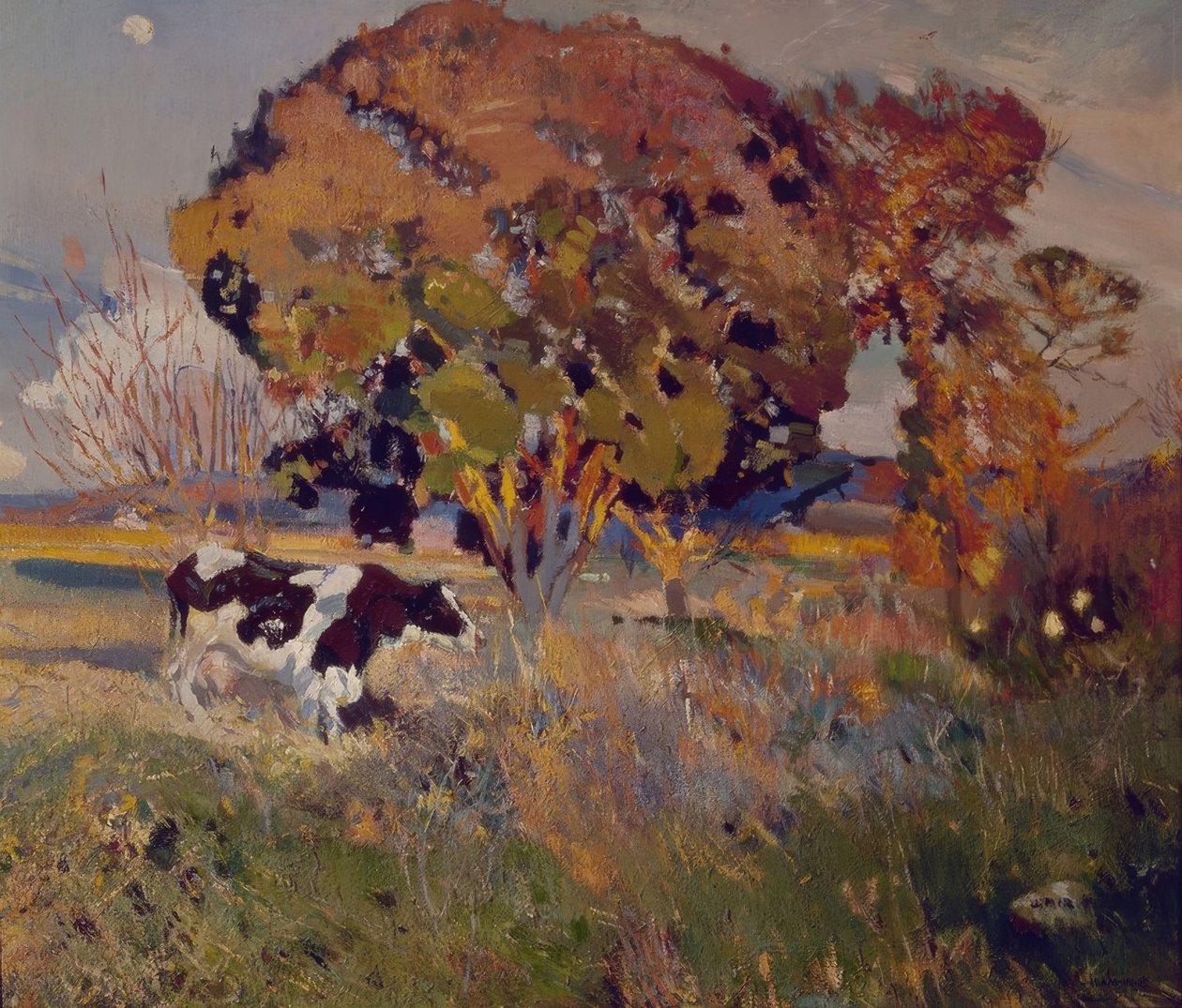 Die Kuh und die Eiche 作者 Joaquim Mir i Trinxet