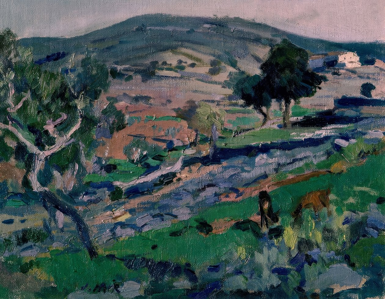 景观 作者 Joaquim Mir i Trinxet