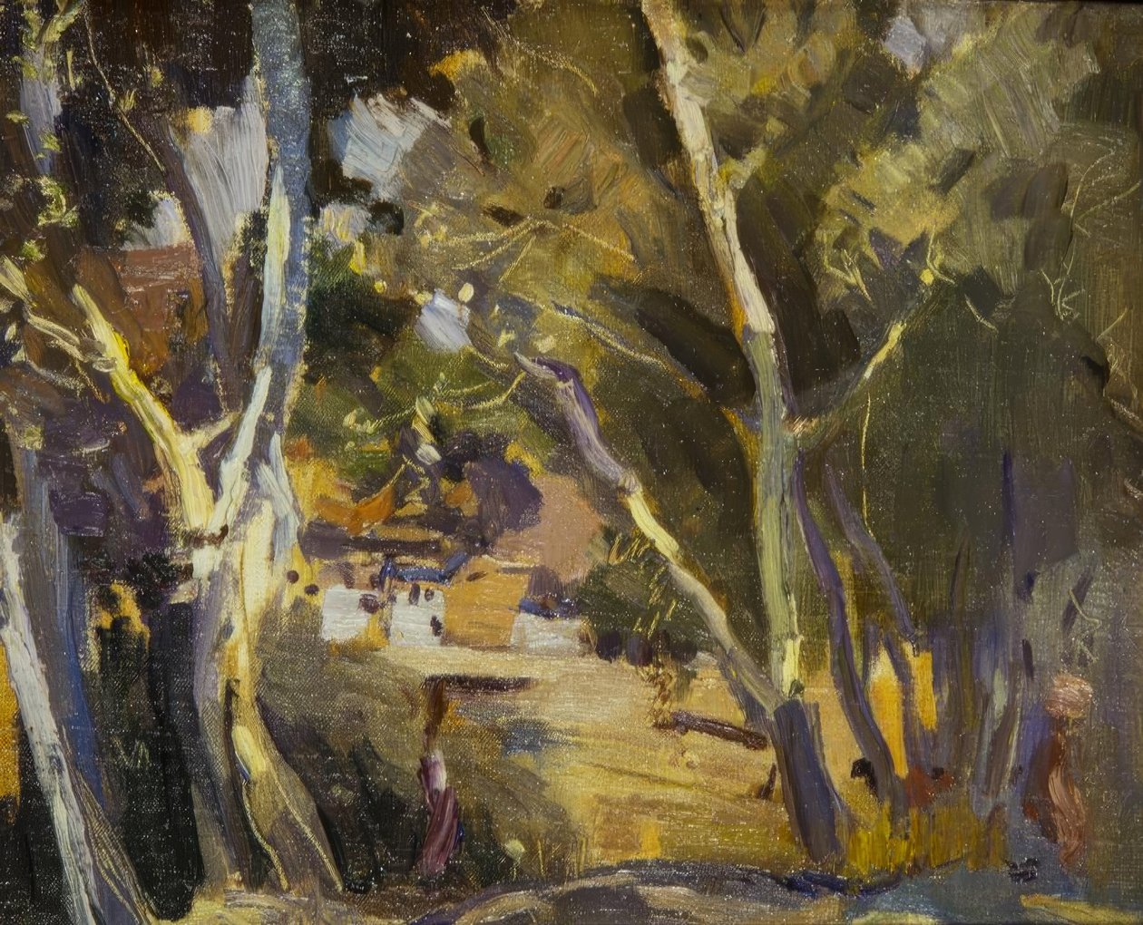 米拉维特 作者 Joaquim Mir i Trinxet