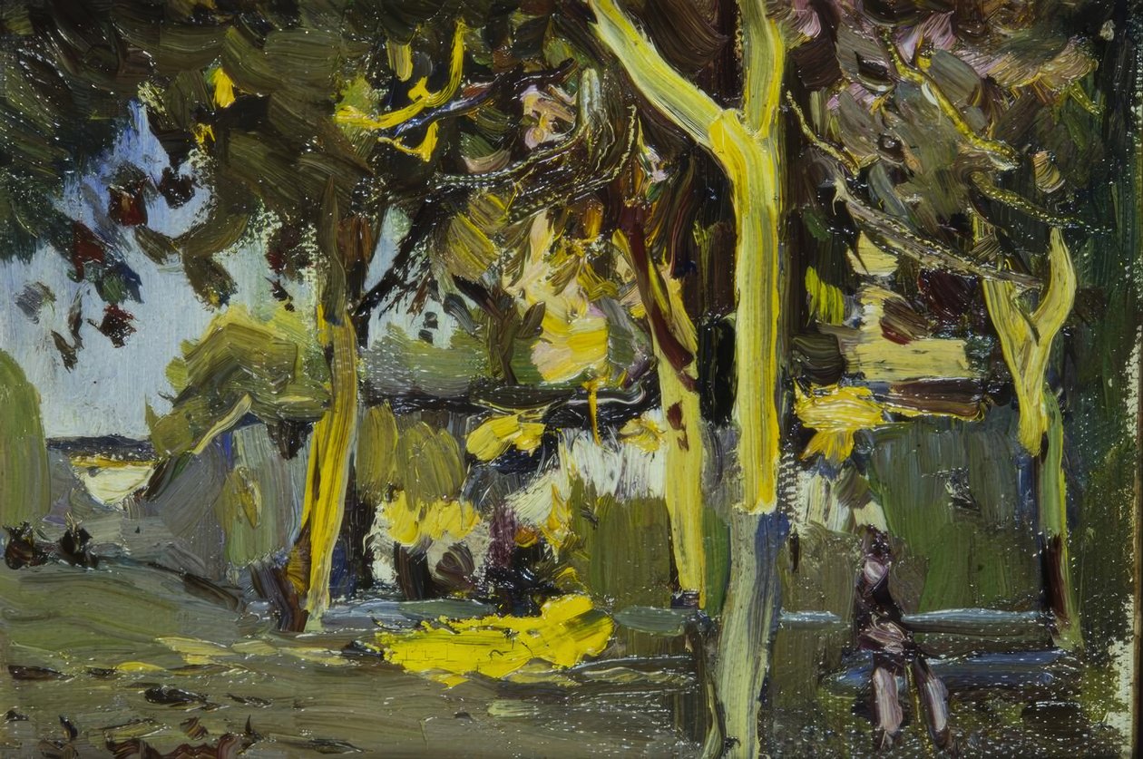 有树的广场 作者 Joaquim Mir i Trinxet
