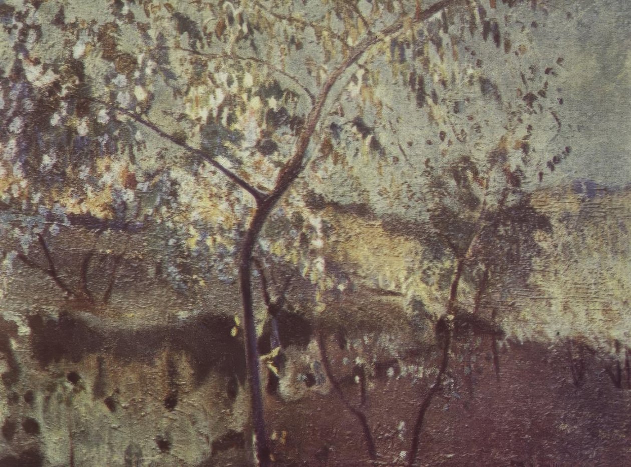 来自国家的 作者 Joaquim Mir i Trinxet