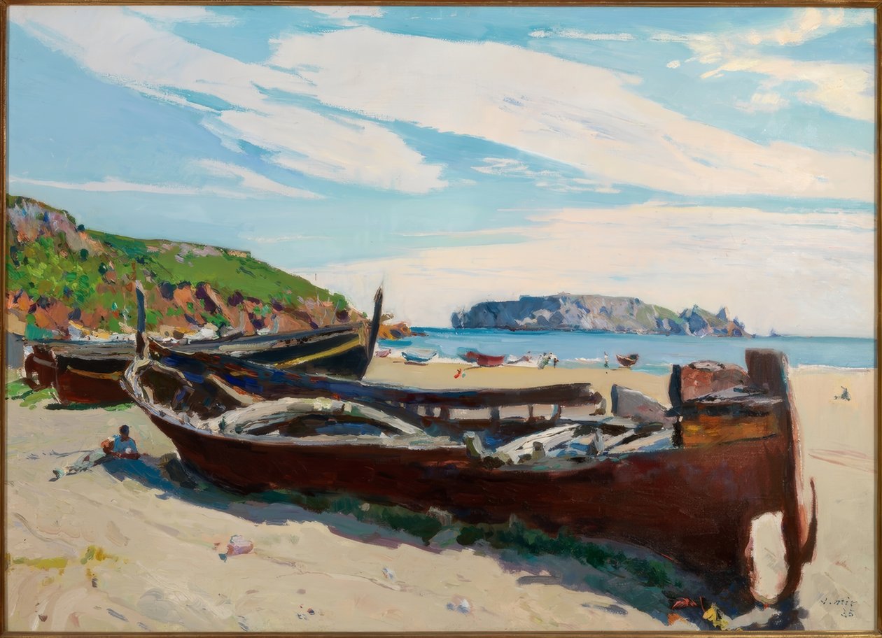 还剩下什么 作者 Joaquim Mir i Trinxet