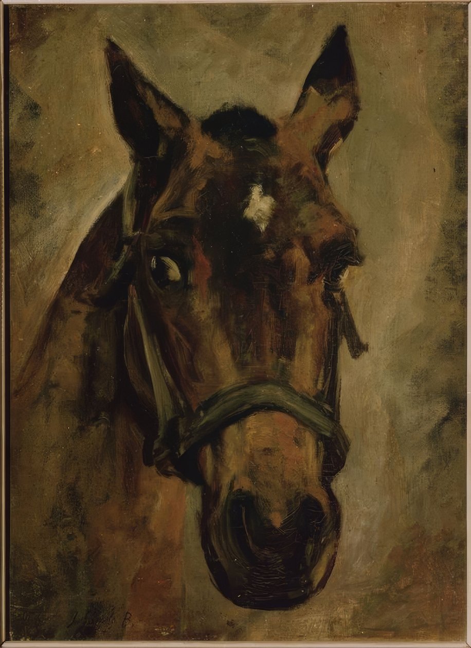 CABEZA DE CABALLO。歌手：JOAQUIN SOROLLA。位置：私人收藏，马德里，西班牙 作者 华金·索罗拉