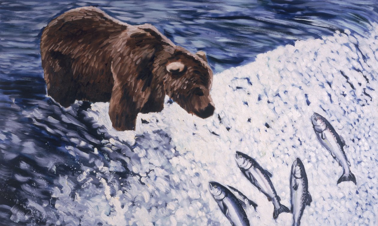 阿拉斯加棕熊，2002年 作者 乔·希尔普·纳尔逊