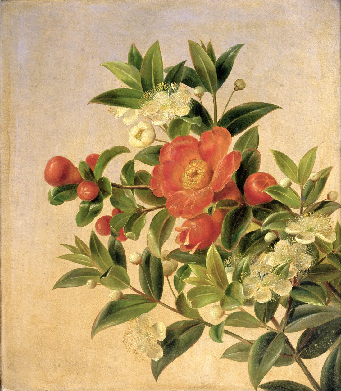 鲜花，1835年 作者 约翰·洛朗兹·詹森（Johan Laurents Jensen）