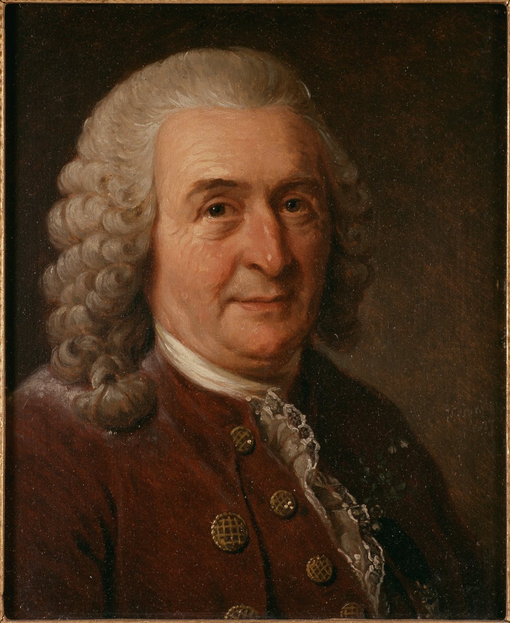 卡尔-林奈1707-1778年的画像，1827年。 作者 约翰·古斯塔夫·桑德伯格